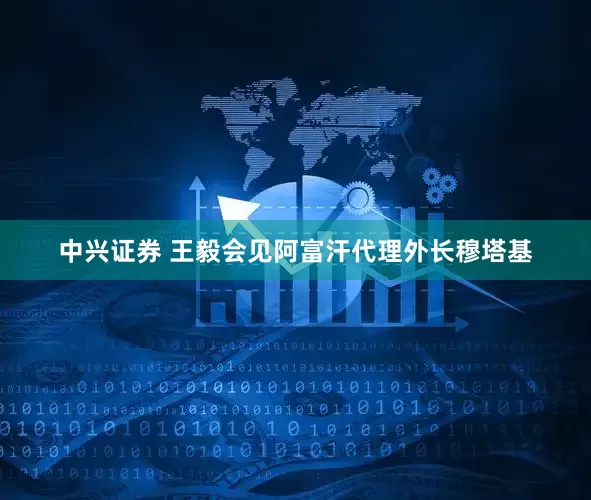中兴证券 王毅会见阿富汗代理外长穆塔基